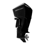Mercury 200L DTS EFI outboard motor side view