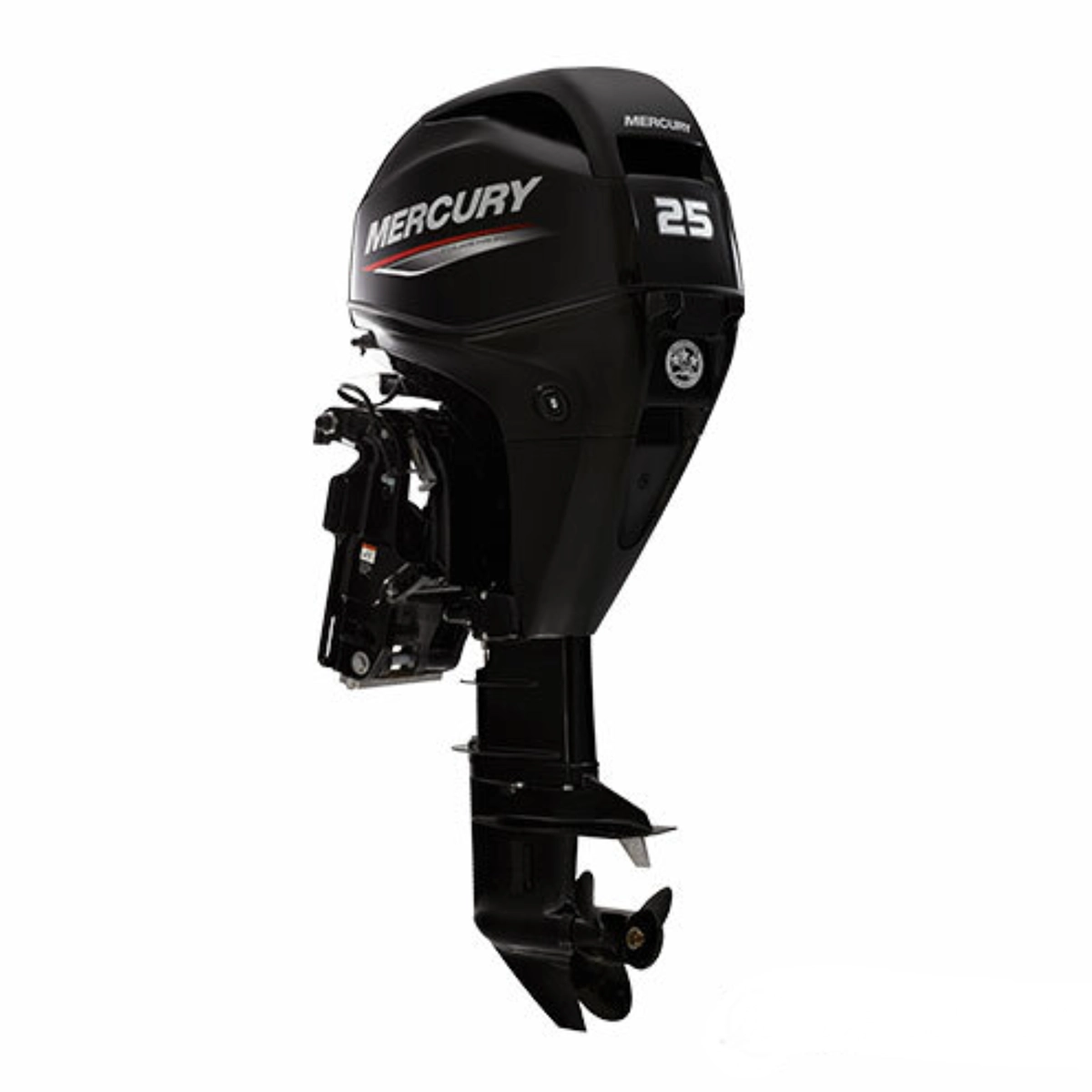 Mercury 25hp EFI Outboard 25EL electric start motor Mercury 25hp EFI Outboard 25EL electric start motor