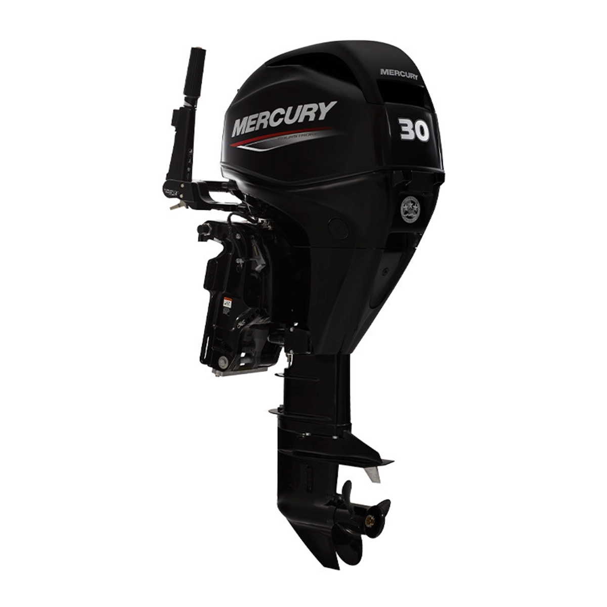 Mercury 30hp EFI Outboard 30MHGA tiller motor Mercury 30hp EFI Outboard 30MHGA tiller motor